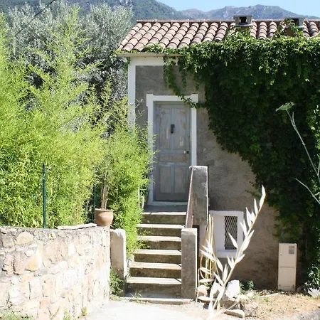 Litlle Casarellu Olivese