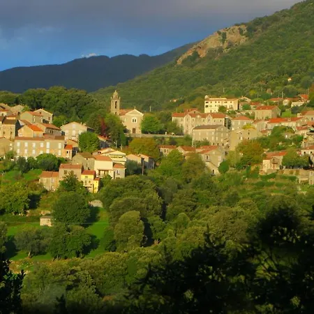 Litlle Casarellu Olivese