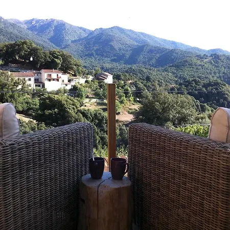 Litlle Casarellu * Olivese