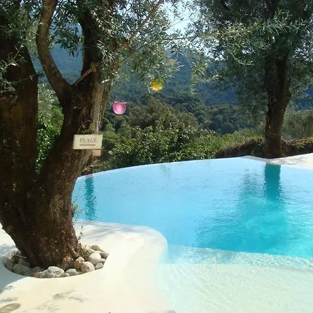 Litlle Casarellu * Olivese