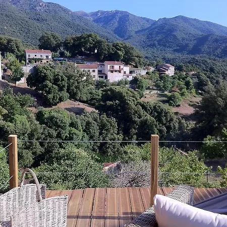 Litlle Casarellu Olivese
