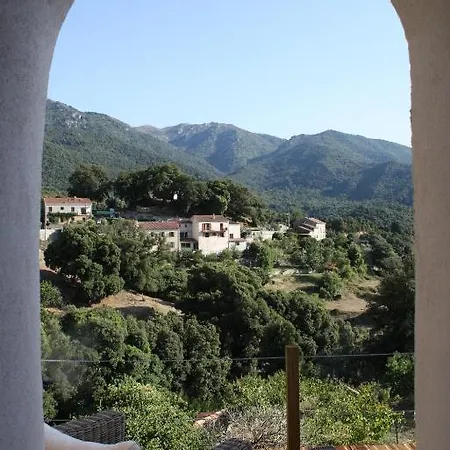 Litlle Casarellu Olivese